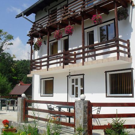 Vila Doina Branului Bran  Luaran gambar