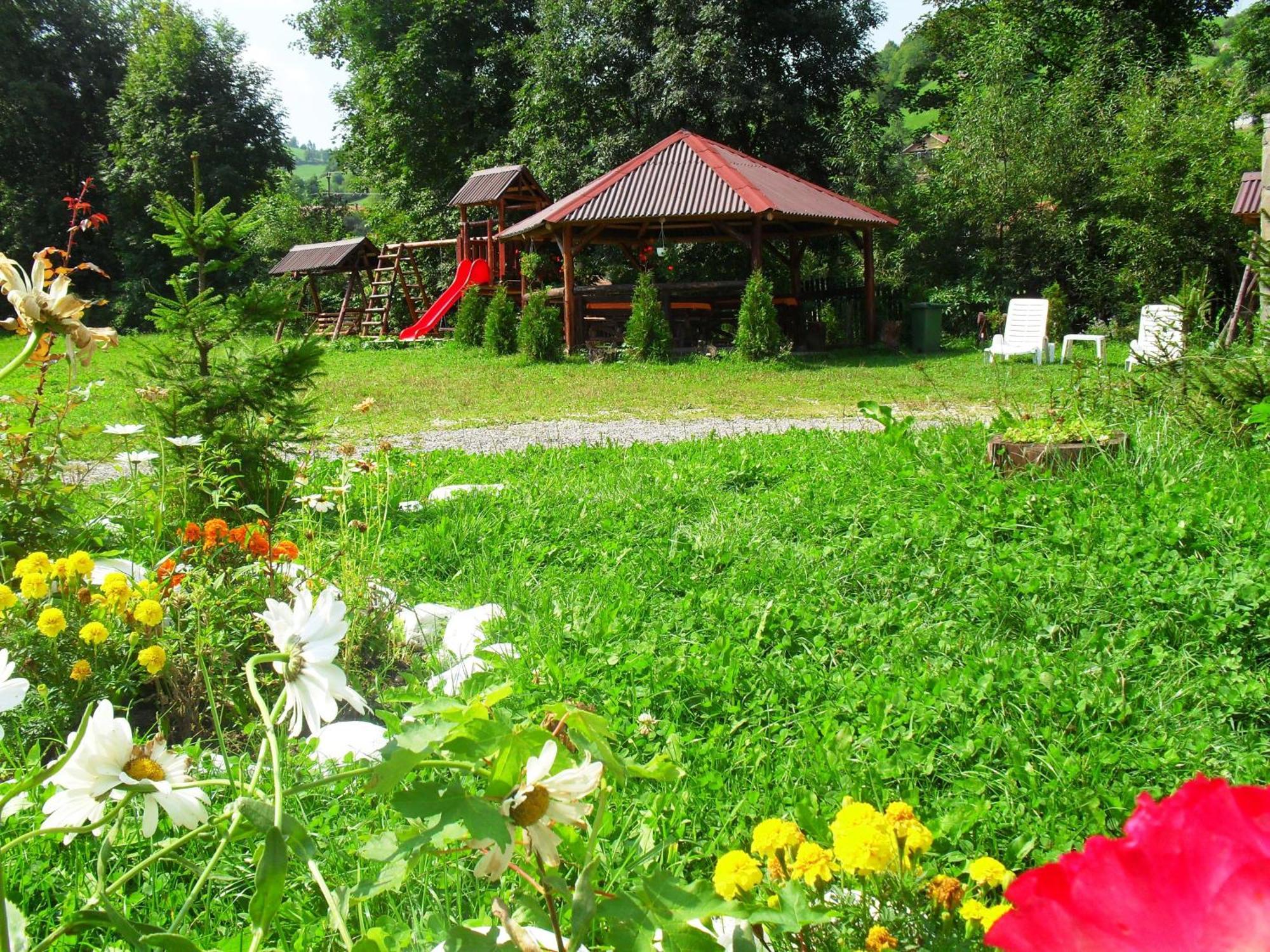 Vila Doina Branului Bran  Luaran gambar