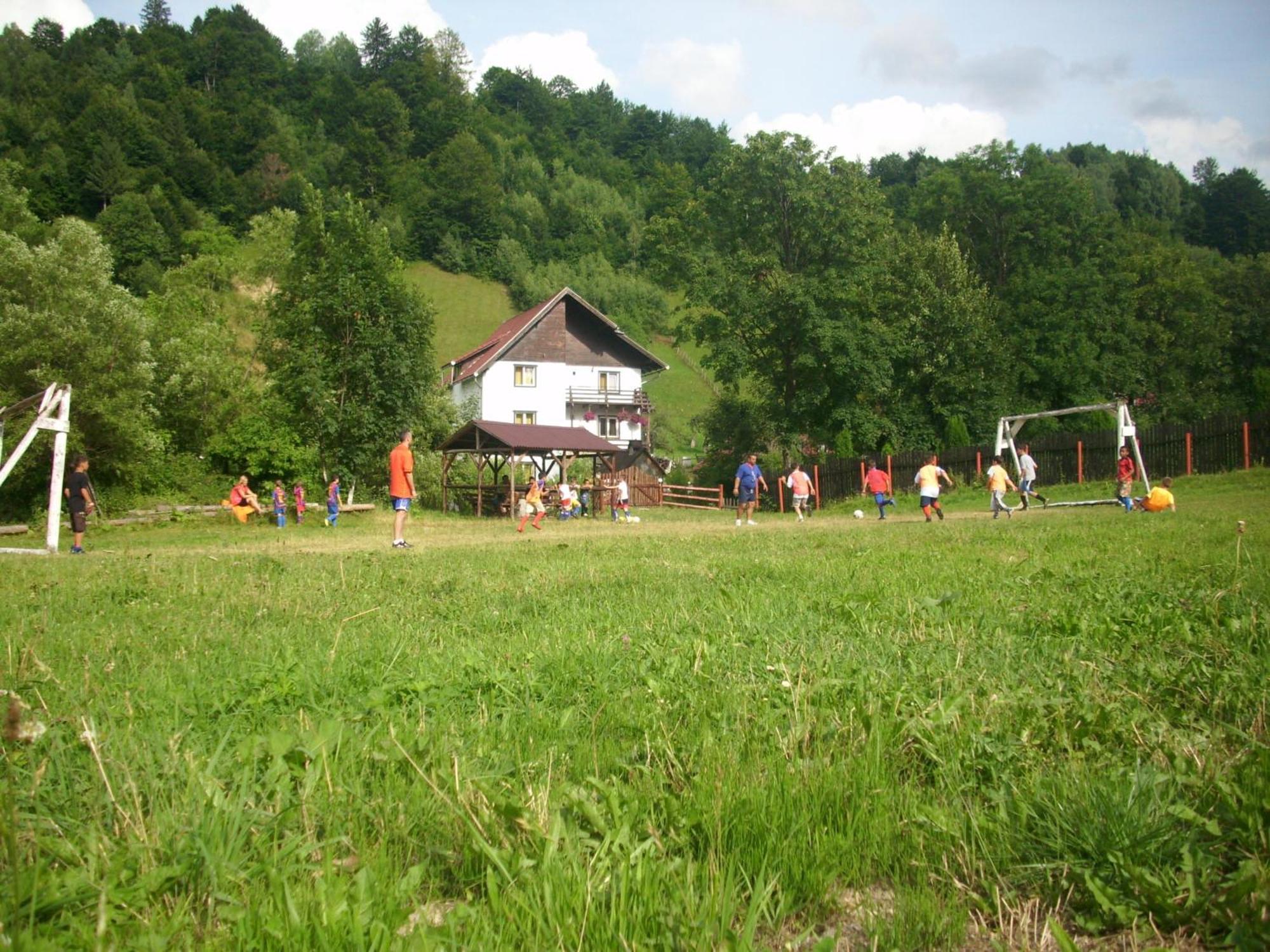 Vila Doina Branului Bran  Luaran gambar