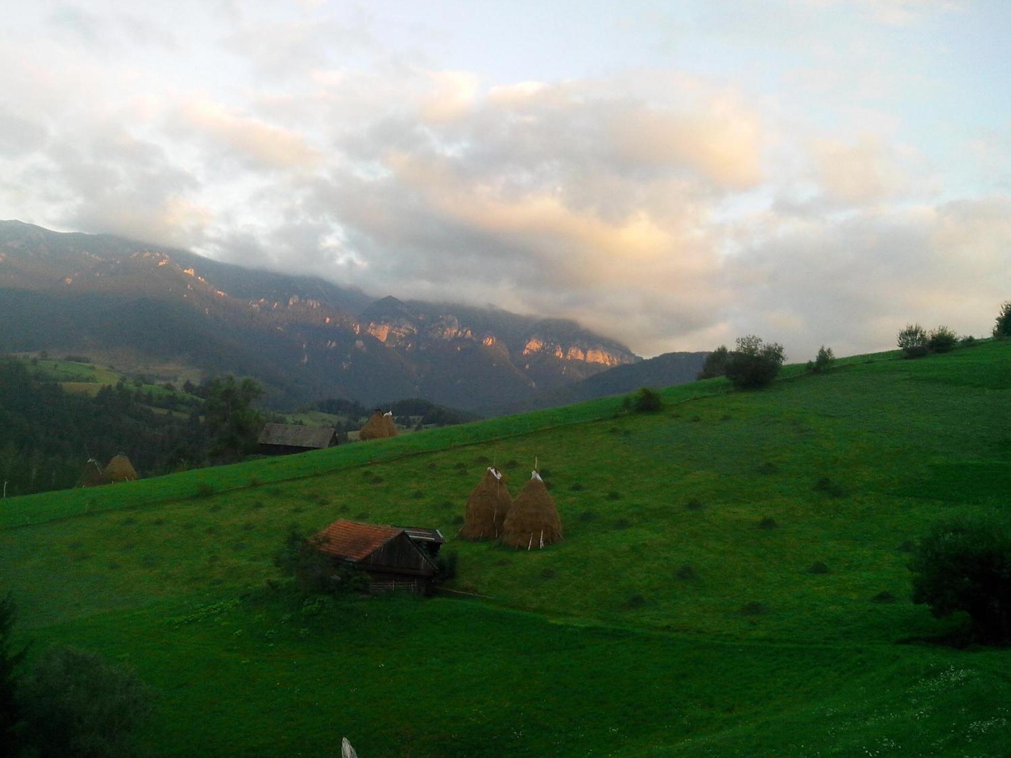 Vila Doina Branului Bran  Luaran gambar