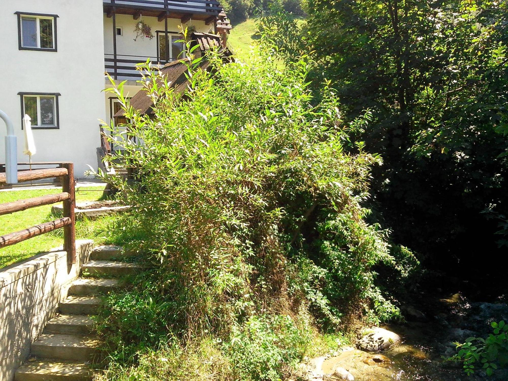 Vila Doina Branului Bran  Luaran gambar